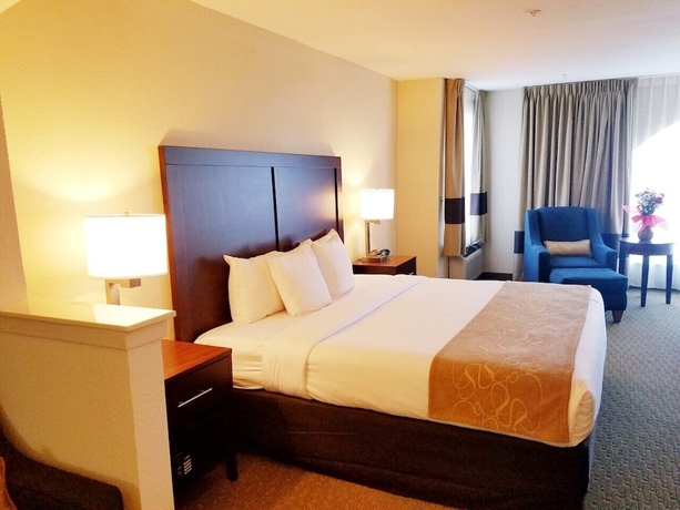 Imagen de la habitación del Hotel Comfort Suites Las Colinas Center. Foto 9
