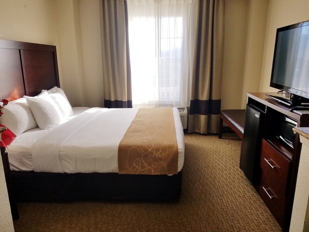 Imagen de la habitación del Hotel Comfort Suites Las Colinas Center. Foto 10
