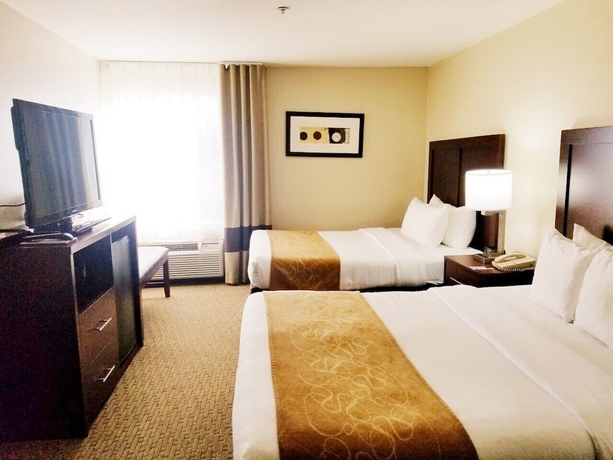 Imagen de la habitación del Hotel Comfort Suites Las Colinas Center. Foto 12