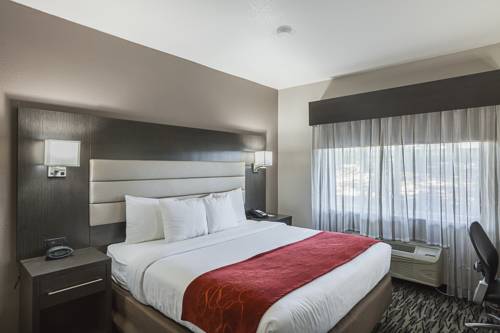 Imagen de la habitación del Hotel Comfort Suites Lewisville. Foto 2
