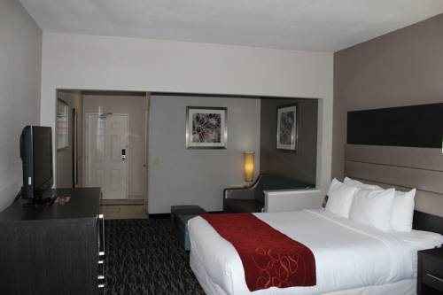 Imagen de la habitación del Hotel Comfort Suites Lewisville. Foto 7