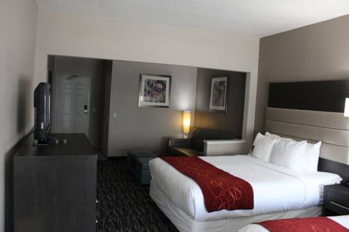 Imagen de la habitación del Hotel Comfort Suites Lewisville. Foto 11