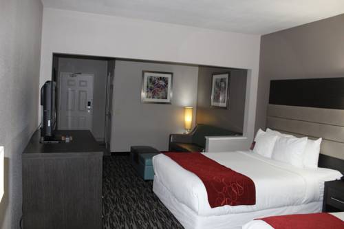 Imagen de la habitación del Hotel Comfort Suites Lewisville. Foto 16