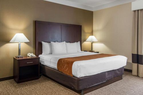 Imagen general del Hotel Comfort Suites Linn County Fairground and Expo. Foto 1