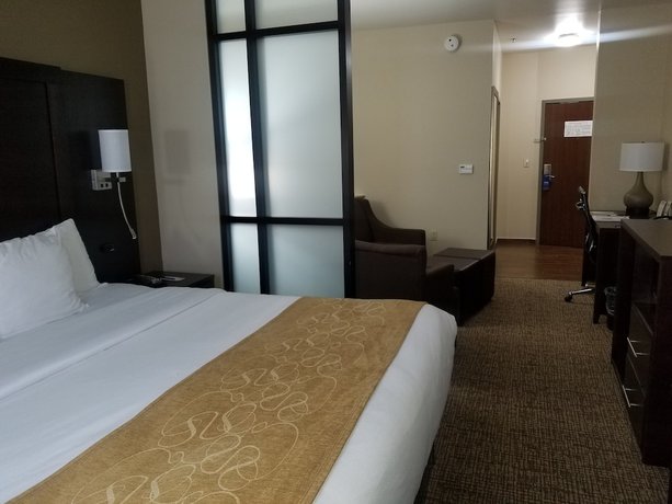 Imagen de la habitación del Hotel Comfort Suites Little Rock West. Foto 4