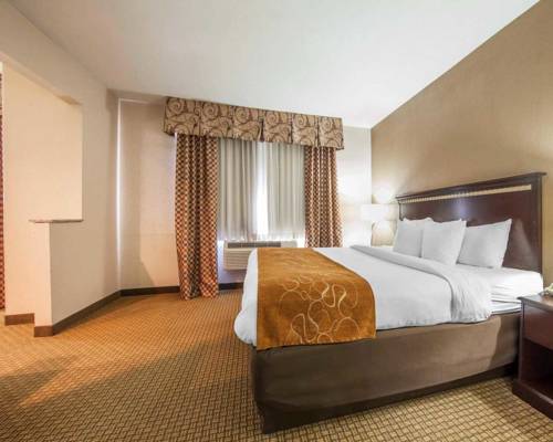 Imagen de la habitación del Hotel Comfort Suites London. Foto 6
