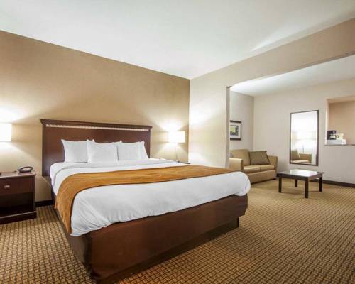 Imagen de la habitación del Hotel Comfort Suites London. Foto 7