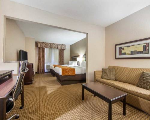 Imagen de la habitación del Hotel Comfort Suites London. Foto 10