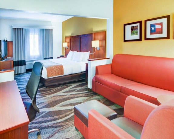 Imagen de la habitación del Hotel Comfort Suites Longview North. Foto 6