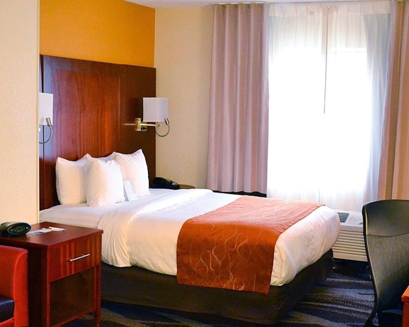 Imagen de la habitación del Hotel Comfort Suites Longview North. Foto 9