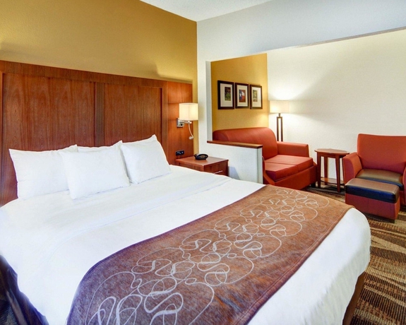 Imagen de la habitación del Hotel Comfort Suites Longview North. Foto 10