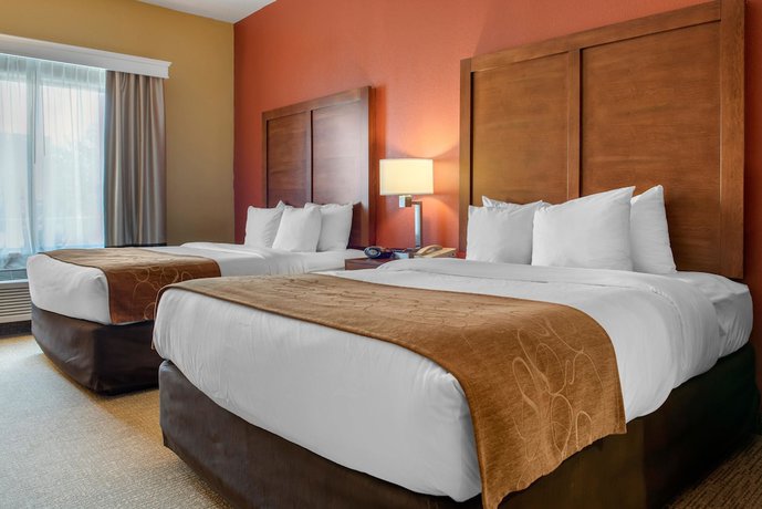 Imagen de la habitación del Hotel Comfort Suites Louisville Airport. Foto 14