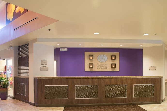 Imagen de los interiores del Hotel Comfort Suites Maingate East. Foto 17