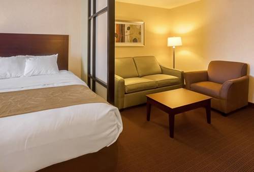 Imagen de la habitación del Hotel Comfort Suites Manhattan. Foto 8