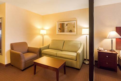 Imagen de la habitación del Hotel Comfort Suites Manhattan. Foto 9