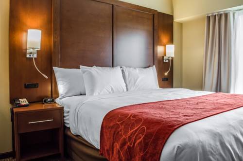 Imagen de la habitación del Hotel Comfort Suites Manheim - Lancaster. Foto 2