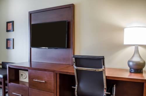 Imagen de la habitación del Hotel Comfort Suites Manheim - Lancaster. Foto 4