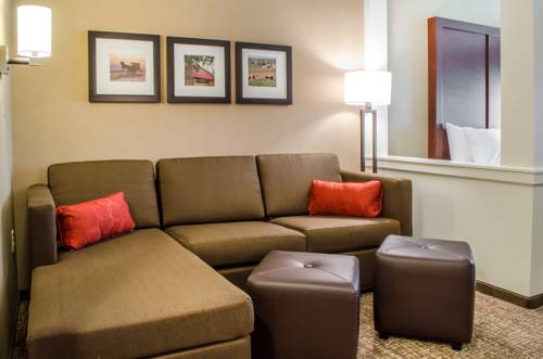 Imagen de la habitación del Hotel Comfort Suites Manheim - Lancaster. Foto 5