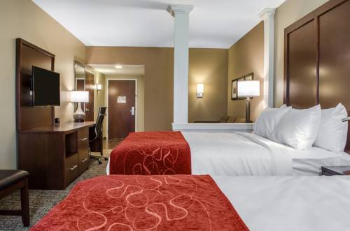 Imagen de la habitación del Hotel Comfort Suites Manheim - Lancaster. Foto 6