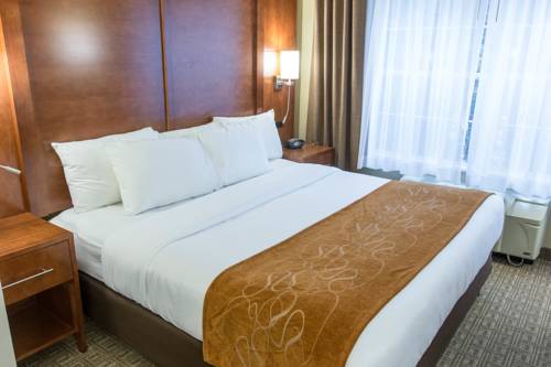 Imagen de la habitación del Hotel Comfort Suites, Marquette. Foto 3