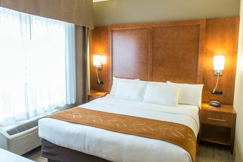 Imagen de la habitación del Hotel Comfort Suites, Marquette. Foto 13