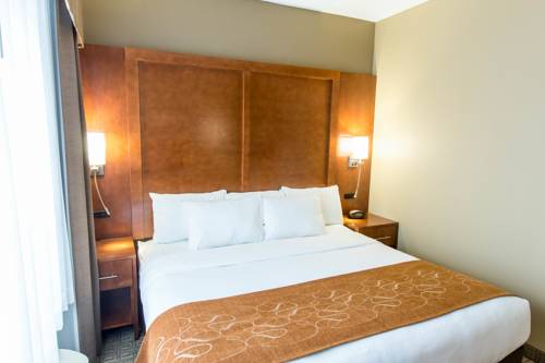 Imagen de la habitación del Hotel Comfort Suites, Marquette. Foto 14
