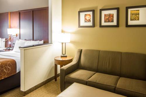 Imagen de la habitación del Hotel Comfort Suites Marshall. Foto 6