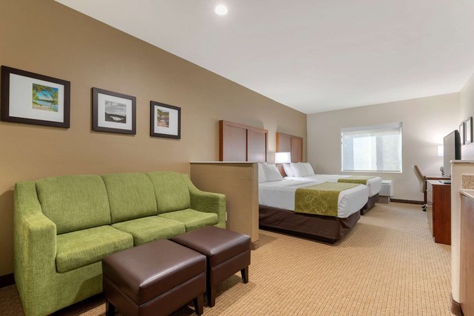 Imagen de la habitación del Hotel Comfort Suites Marysville - Yuba City. Foto 5