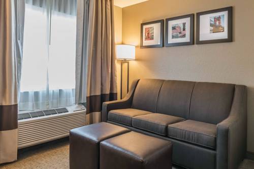 Imagen de la habitación del Hotel Comfort Suites Mason. Foto 6