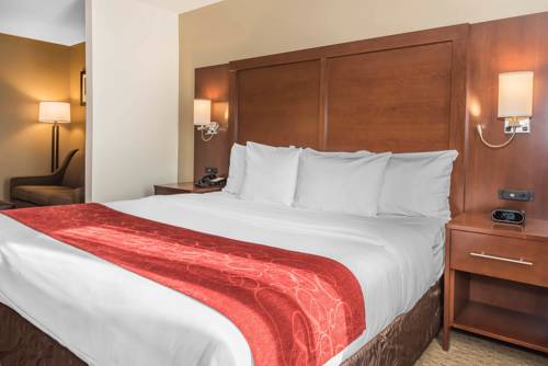Imagen de la habitación del Hotel Comfort Suites Mason. Foto 9