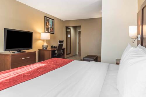Imagen de la habitación del Hotel Comfort Suites Mason. Foto 10