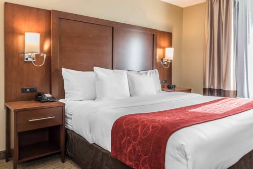 Imagen de la habitación del Hotel Comfort Suites Mason. Foto 11