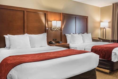 Imagen de la habitación del Hotel Comfort Suites Mason. Foto 12