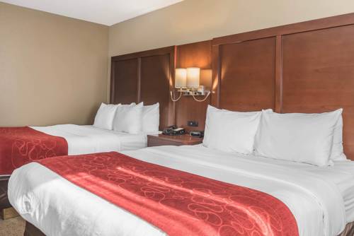 Imagen de la habitación del Hotel Comfort Suites Mason. Foto 13