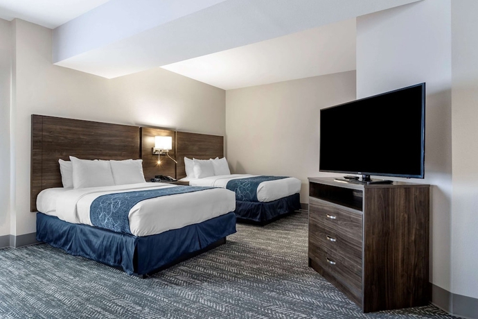Imagen de la habitación del Hotel Comfort Suites Mcdonough Atlanta South. Foto 3