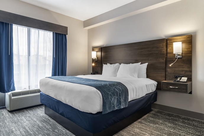 Imagen de la habitación del Hotel Comfort Suites Mcdonough Atlanta South. Foto 8