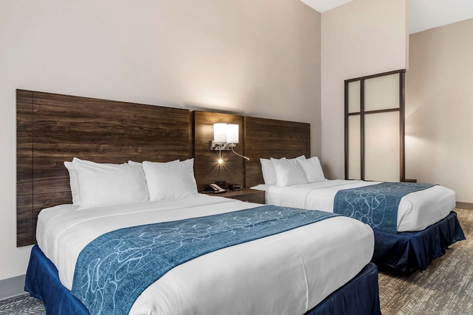 Imagen de la habitación del Hotel Comfort Suites Mcdonough Atlanta South. Foto 12