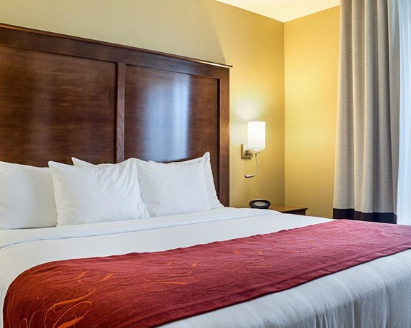 Imagen de la habitación del Hotel Comfort Suites Medical Center. Foto 5