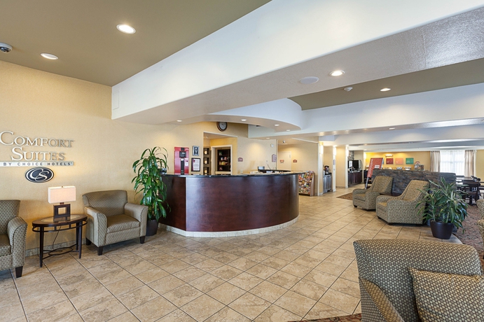 Imagen de los interiores del Hotel Comfort Suites Medical Center Near Six Flags. Foto 11