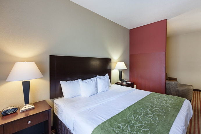 Imagen de la habitación del Hotel Comfort Suites Medical Center Near Six Flags. Foto 5
