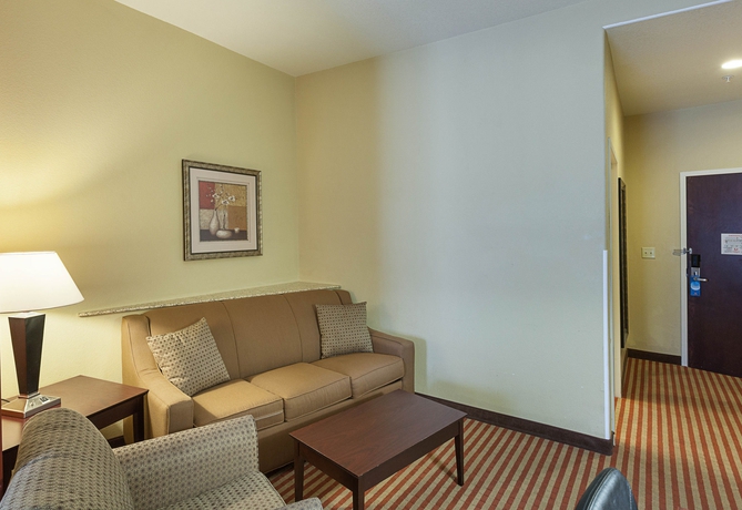 Imagen de la habitación del Hotel Comfort Suites Medical Center Near Six Flags. Foto 8