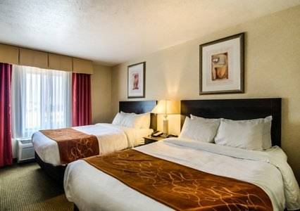 Imagen de la habitación del Hotel Comfort Suites Merrillville. Foto 3