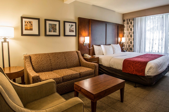 Imagen de la habitación del Hotel Comfort Suites Miami - Kendall. Foto 6