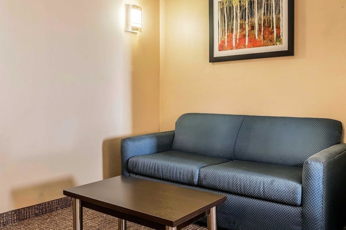 Imagen de la habitación del Hotel Comfort Suites Miamisburg - Dayton South. Foto 10