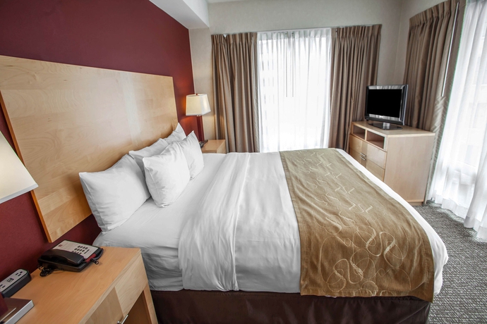 Imagen de la habitación del Hotel Comfort Suites Michigan Avenue Loop. Foto 9