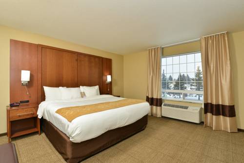 Imagen de la habitación del Hotel Comfort Suites Minot. Foto 3