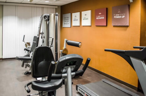 Imagen de los interiores del Hotel Comfort Suites Mobile. Foto 7