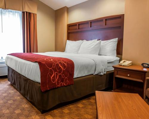 Imagen de la habitación del Hotel Comfort Suites Monaca. Foto 3