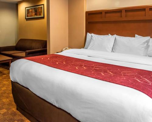 Imagen de la habitación del Hotel Comfort Suites Monaca. Foto 4