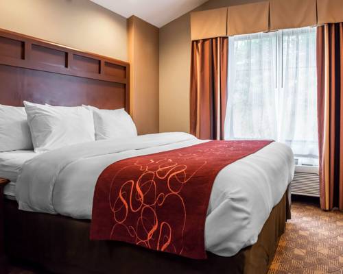 Imagen de la habitación del Hotel Comfort Suites Monaca. Foto 11